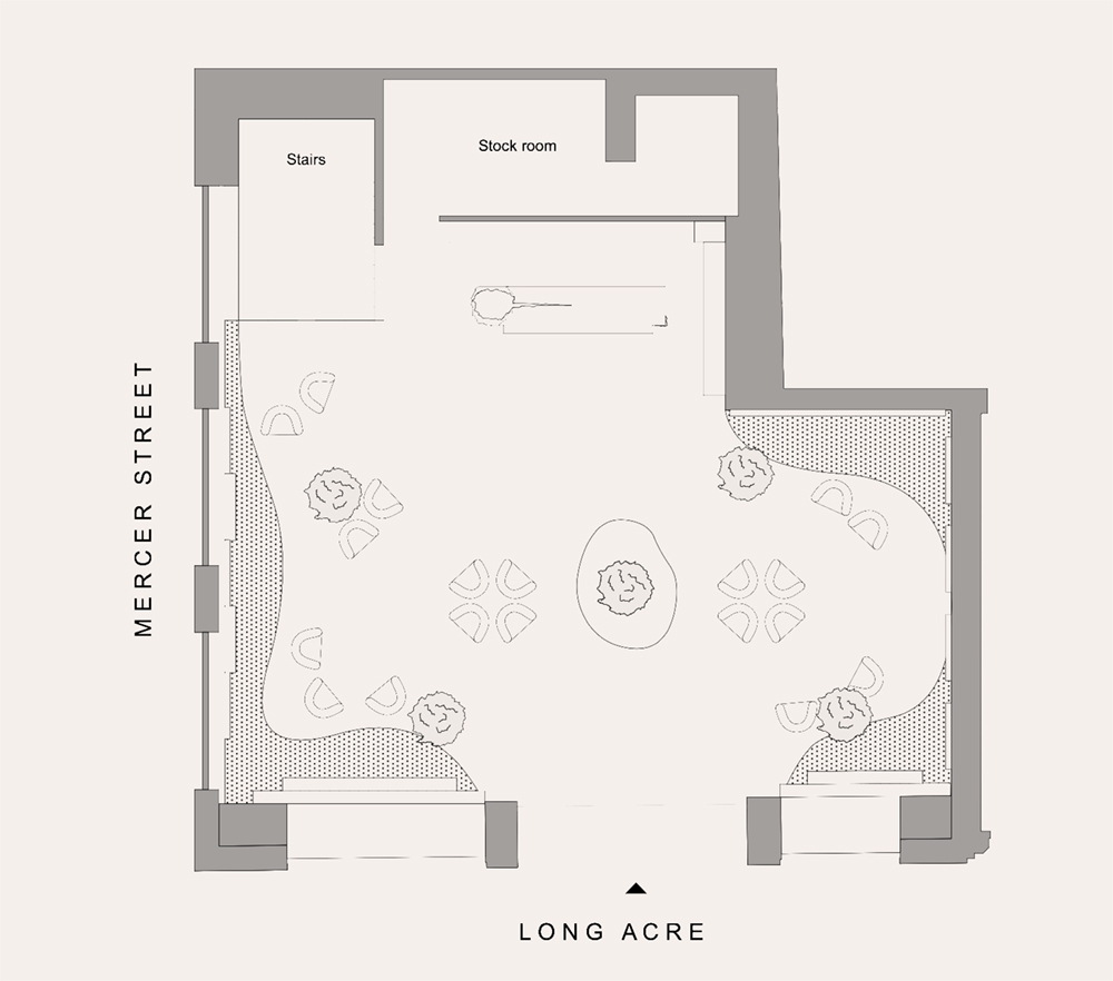 allbirds-plan